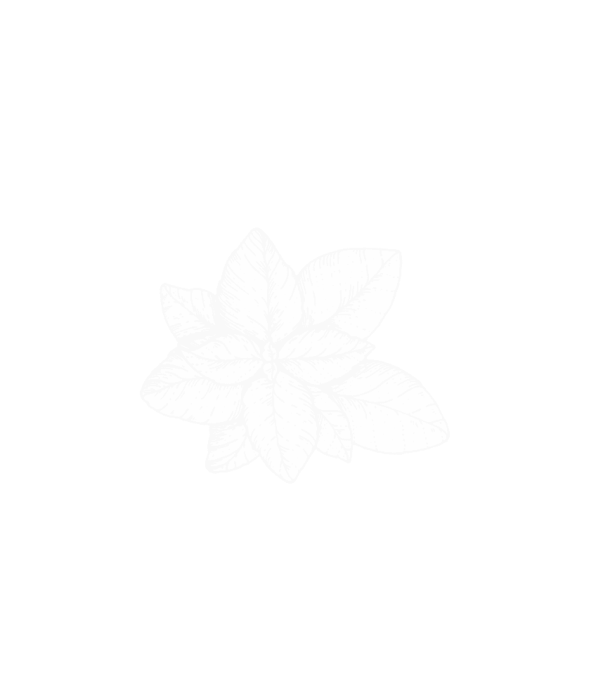 MapleFizz review photo 7